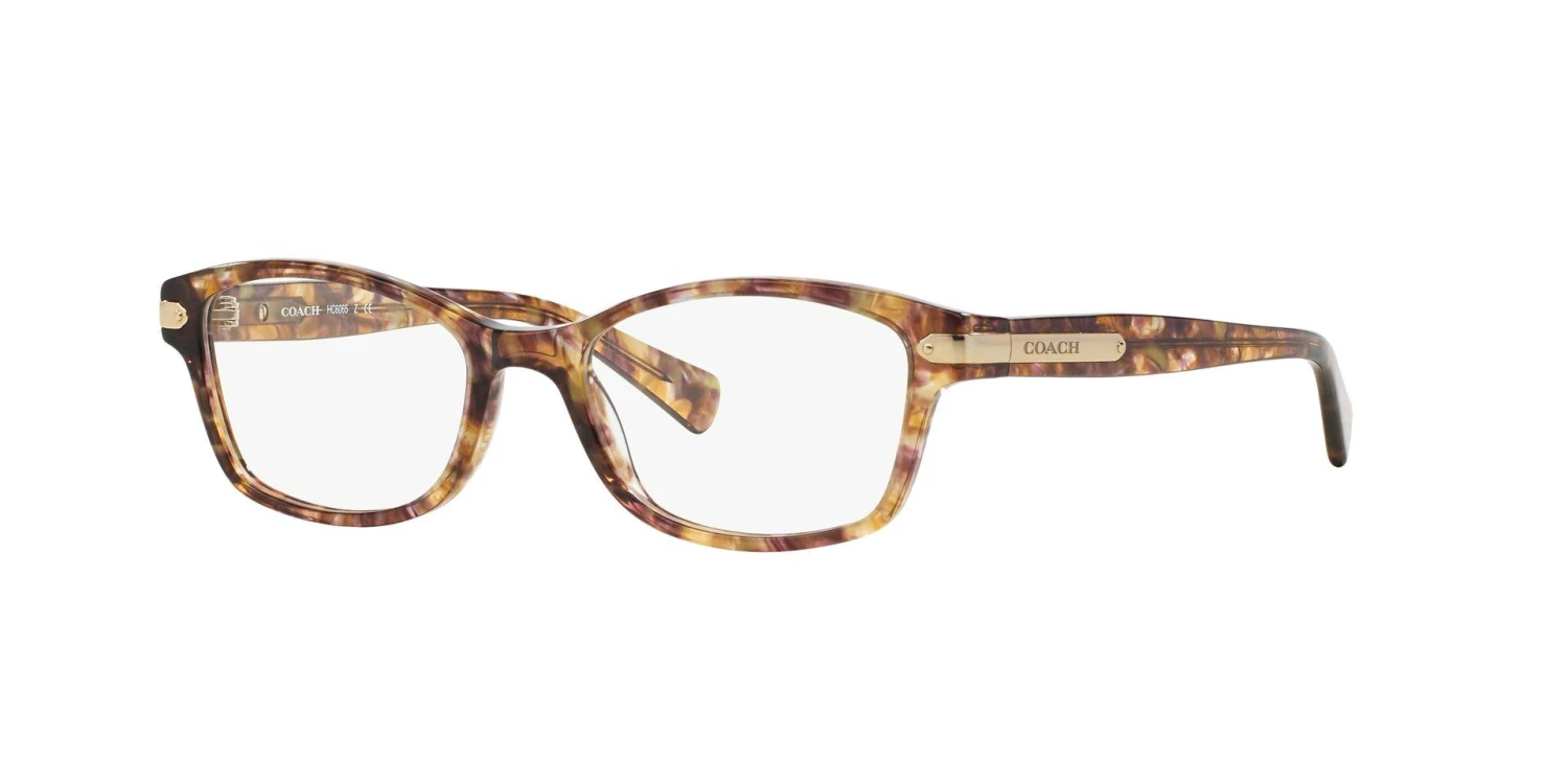 Coach 6065 Eyeglasses 20 Coach 6065 Eyeglasses - Image 20