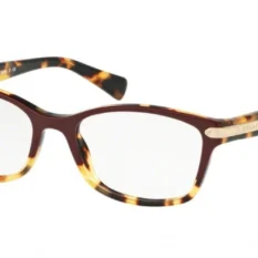 Coach 6065 Eyeglasses 25 Coach 6065 Eyeglasses -Prada || Michael Kors || Skechers Sales Store 47f85a71d95ffd9a8281e5e4acf71470