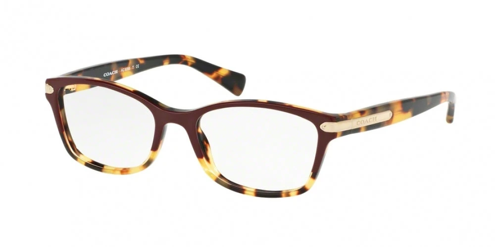Coach 6065 Eyeglasses 6 Coach 6065 Eyeglasses - Image 6
