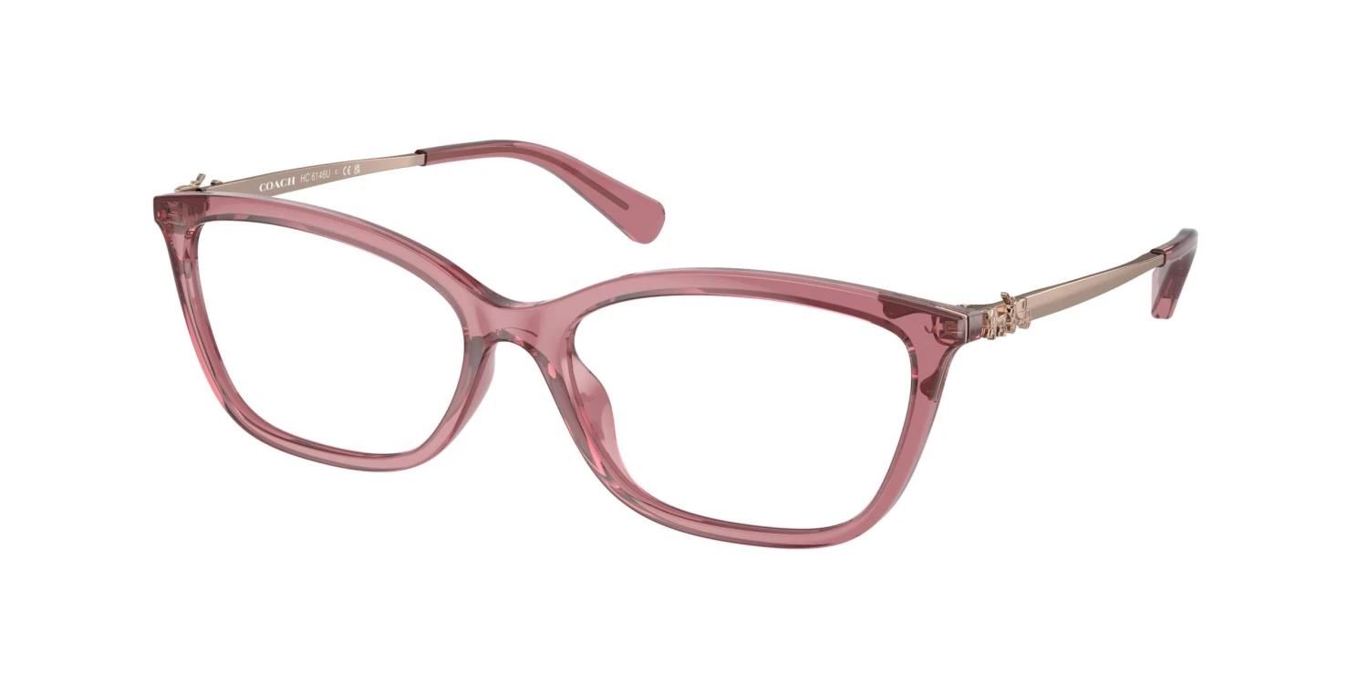 Coach 6146U Eyeglasses 9 Coach 6146U Eyeglasses - Image 9