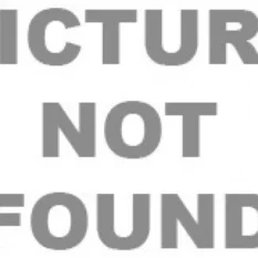 Skechers 1689 Eyeglasses -Prada || Michael Kors || Skechers Sales Store 8b7e951158f63c2b7b91456127368d18 2370f6ce eb4f 49ea a89a e5a13aa1dd04