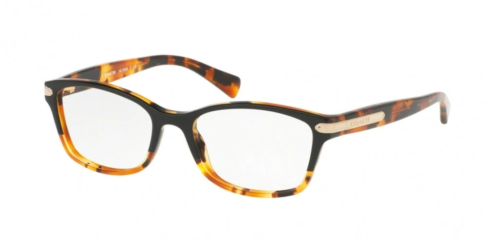 Coach 6065 Eyeglasses 5 Coach 6065 Eyeglasses - Image 5