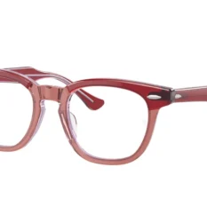 Ray-Ban Junior 9098V Eyeglasses -Prada || Michael Kors || Skechers Sales Store bae8562c2771ef9990781653f2e616b1 scaled