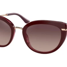 Bvlgari 8231B Sunglasses