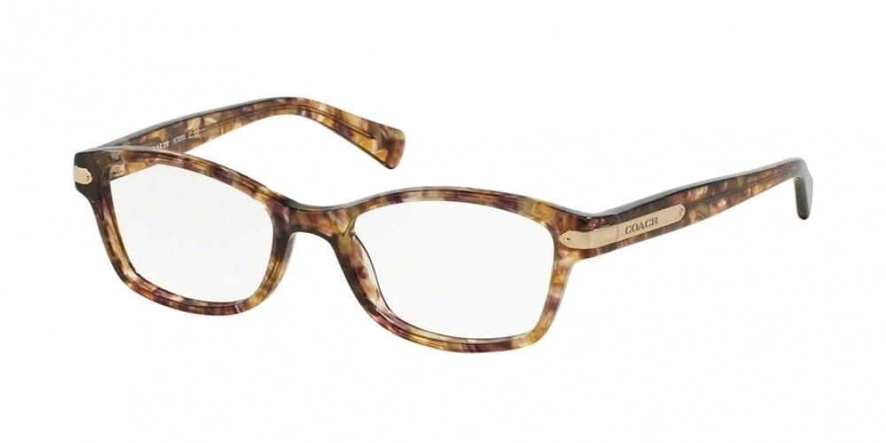 Coach 6065 Eyeglasses 2 Coach 6065 Eyeglasses - Image 2