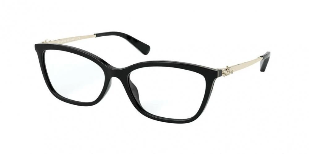 Coach 6146U Eyeglasses 4 Coach 6146U Eyeglasses - Image 4
