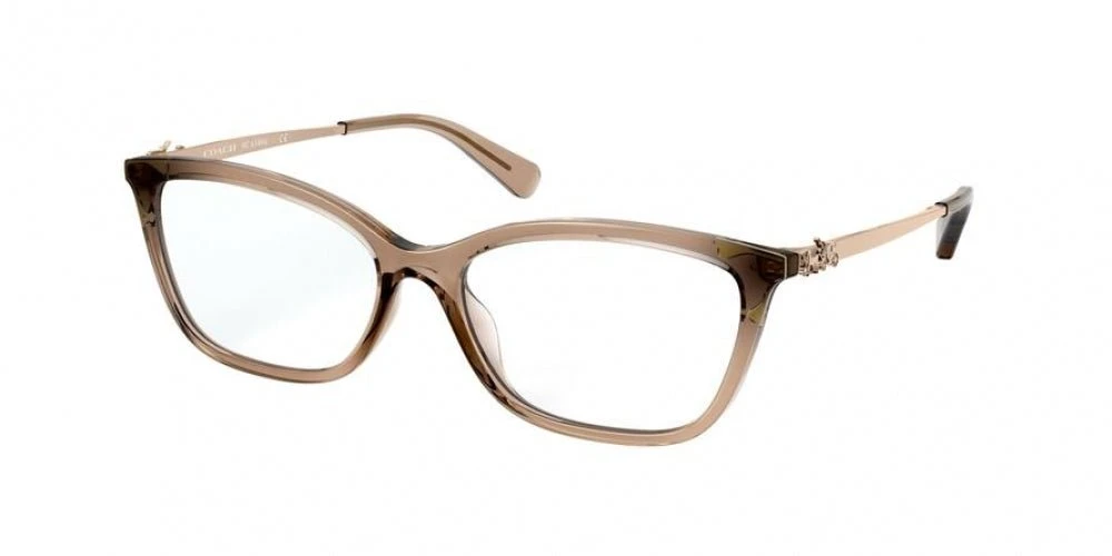 Coach 6146U Eyeglasses 7 Coach 6146U Eyeglasses - Image 7