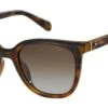 Fossil 3103 Sunglasses -Prada || Michael Kors || Skechers Sales Store fossil 3103 sunglasses 932494